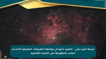 وسط تأييد دولي.. الصين تدعو إلى مواجهة التعريفات الجمركية الأحادية الجانب وخطورتها على التجارة العالمية